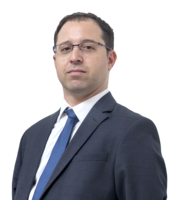Tomer Lark Tomer Lark