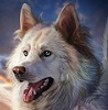 Vrghr Dragonwolf Vrghr Dragonwolf