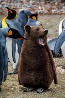 Stephen Smoogen Stephen Smoogen
