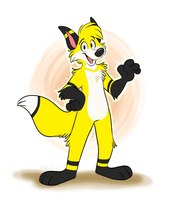 Max The Fox Max The Fox