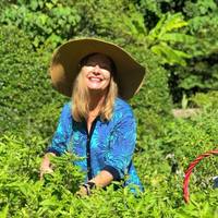 Jayne MacDougall Jayne MacDougall