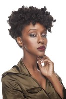 Ebony Obsidian Ebony Obsidian