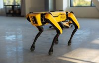 Spot Robot Spot Robot