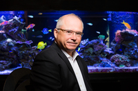 Dave Watson - WFS Wealth & Financial Strategies Dave Watson - WFS Wealth & Financial Strategies