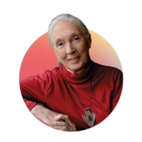 Dr. Jane Goodall Dr. Jane Goodall
